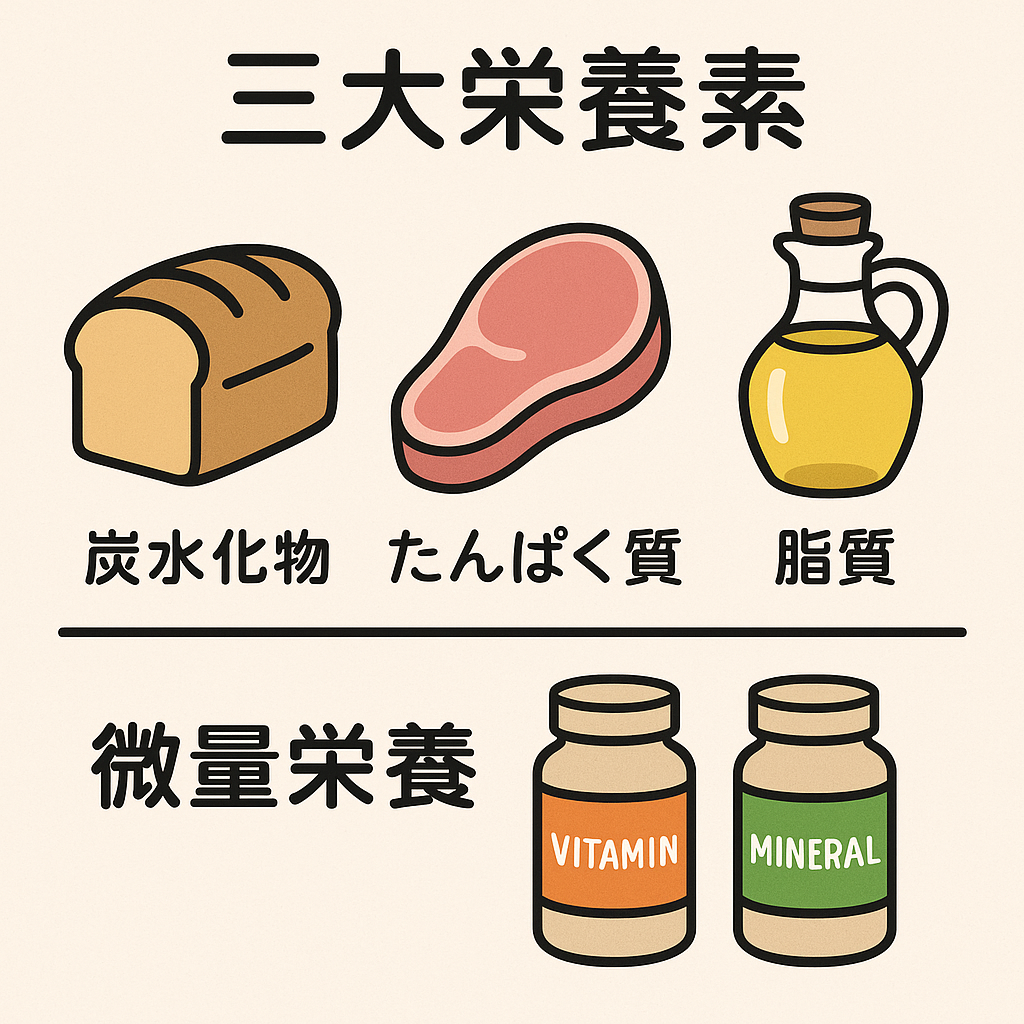 栄養素のイラスト